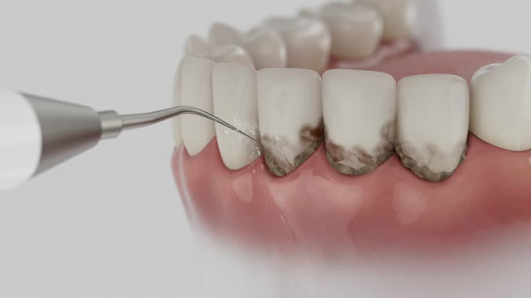 Reliable Dental contractor in South St. Paul, MN by Dentist Open Now